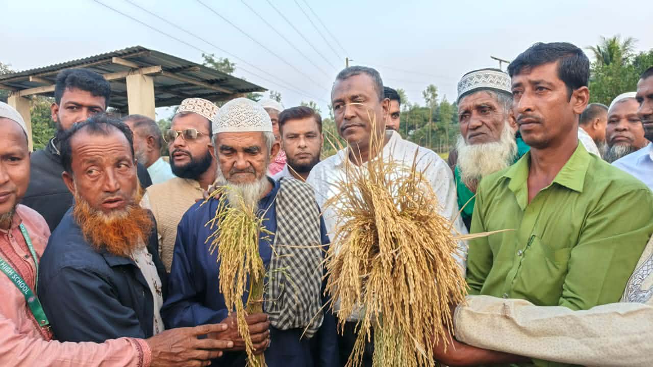 সুনামগঞ্জ-৪ আসনে ধানের শীষের সম্ভাব্য প্রার্থী এড. নুরুল ইসলানের নেতৃত্বে রঙ্গারচর ইউনিয়নে দিনব্যাপী লিফলেট বিতরণ।